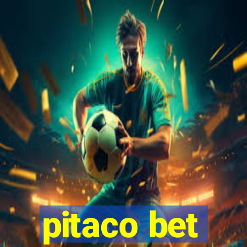 pitaco bet